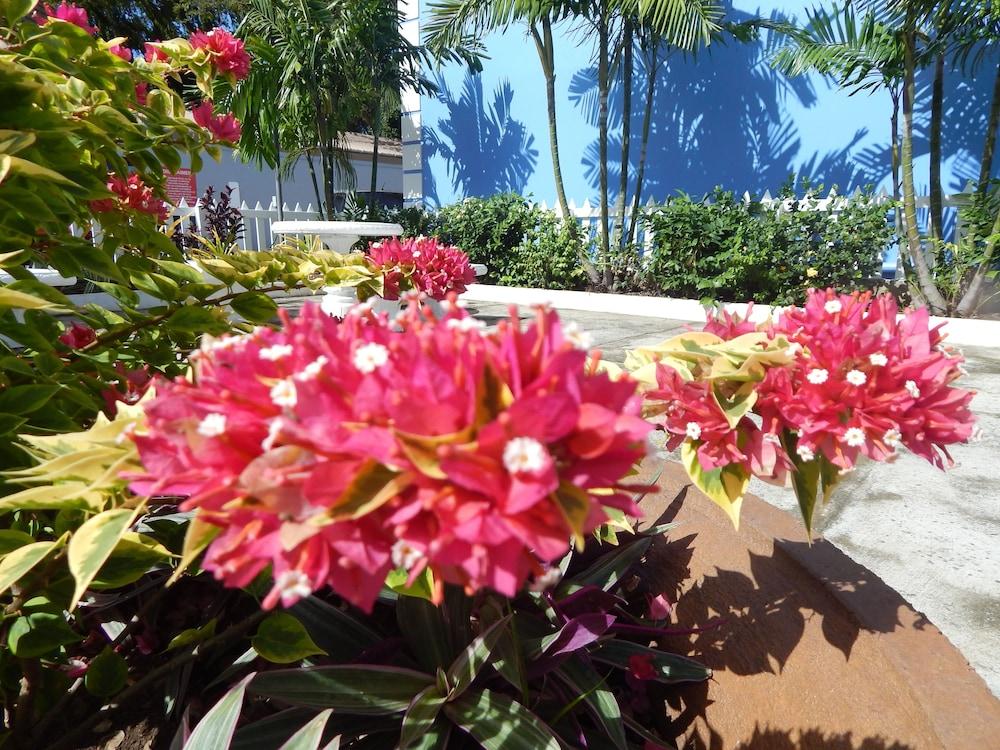Chic - The Boutique Hotel And Conference Centre 克朗角 外观 照片
